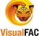 VisualFac